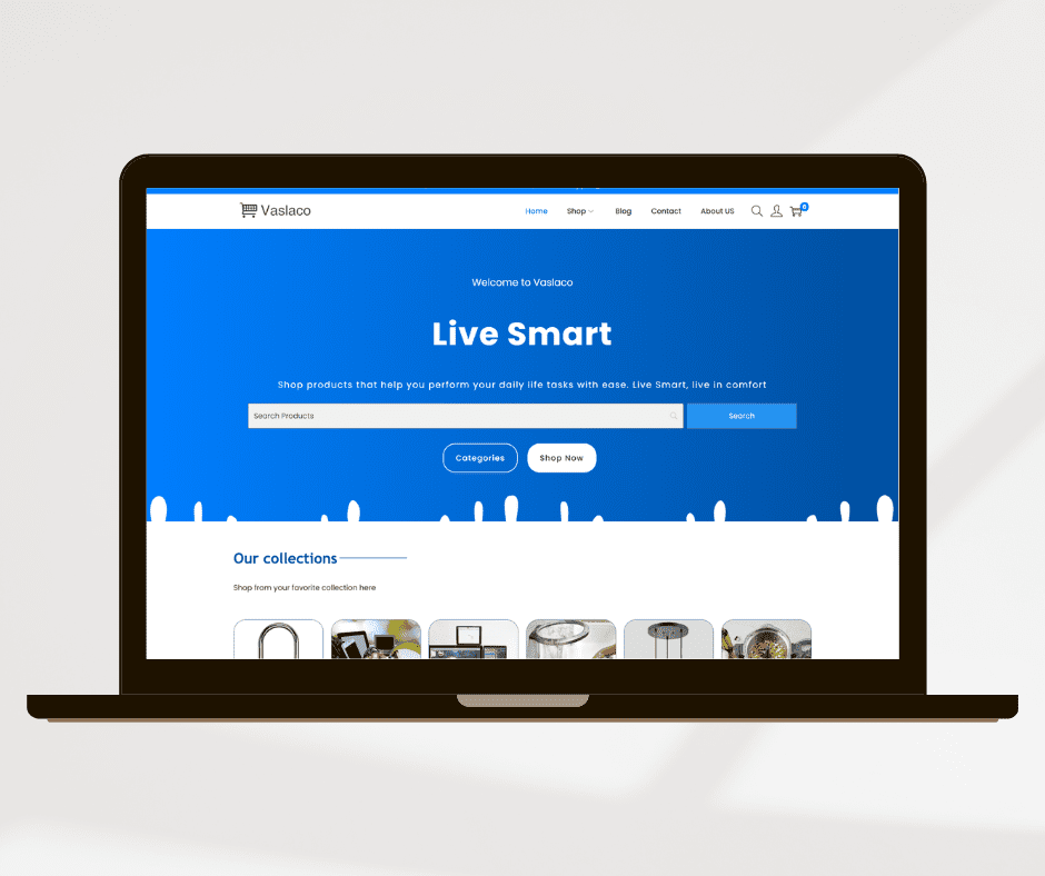 Vaslaco website laptop mockup