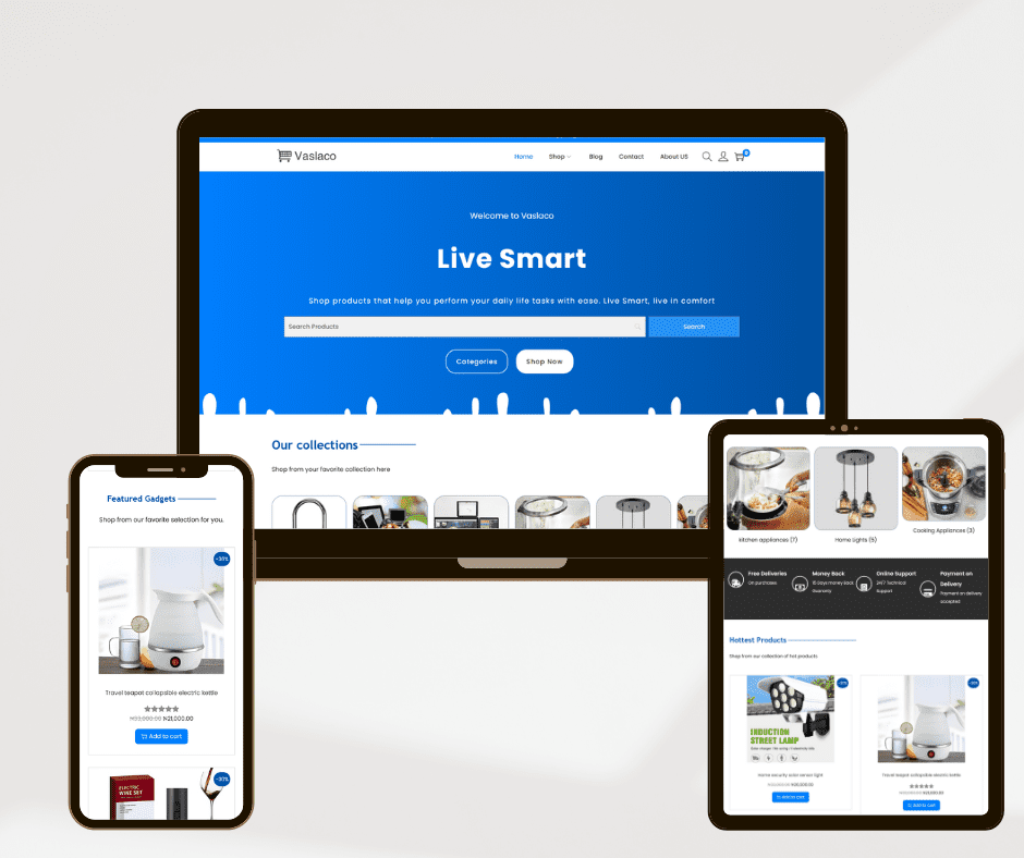 Vaslaco Website mockup