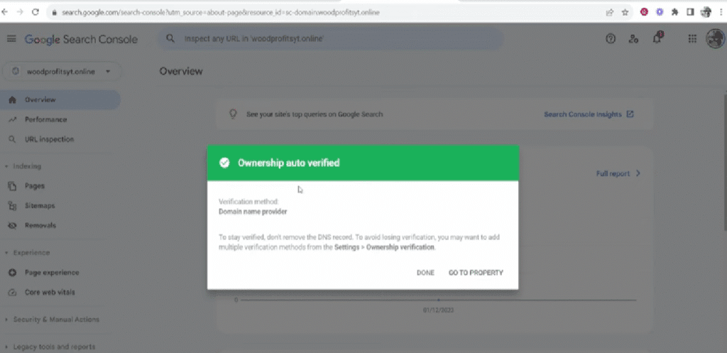 Successful verification of a domain on Google Search Console